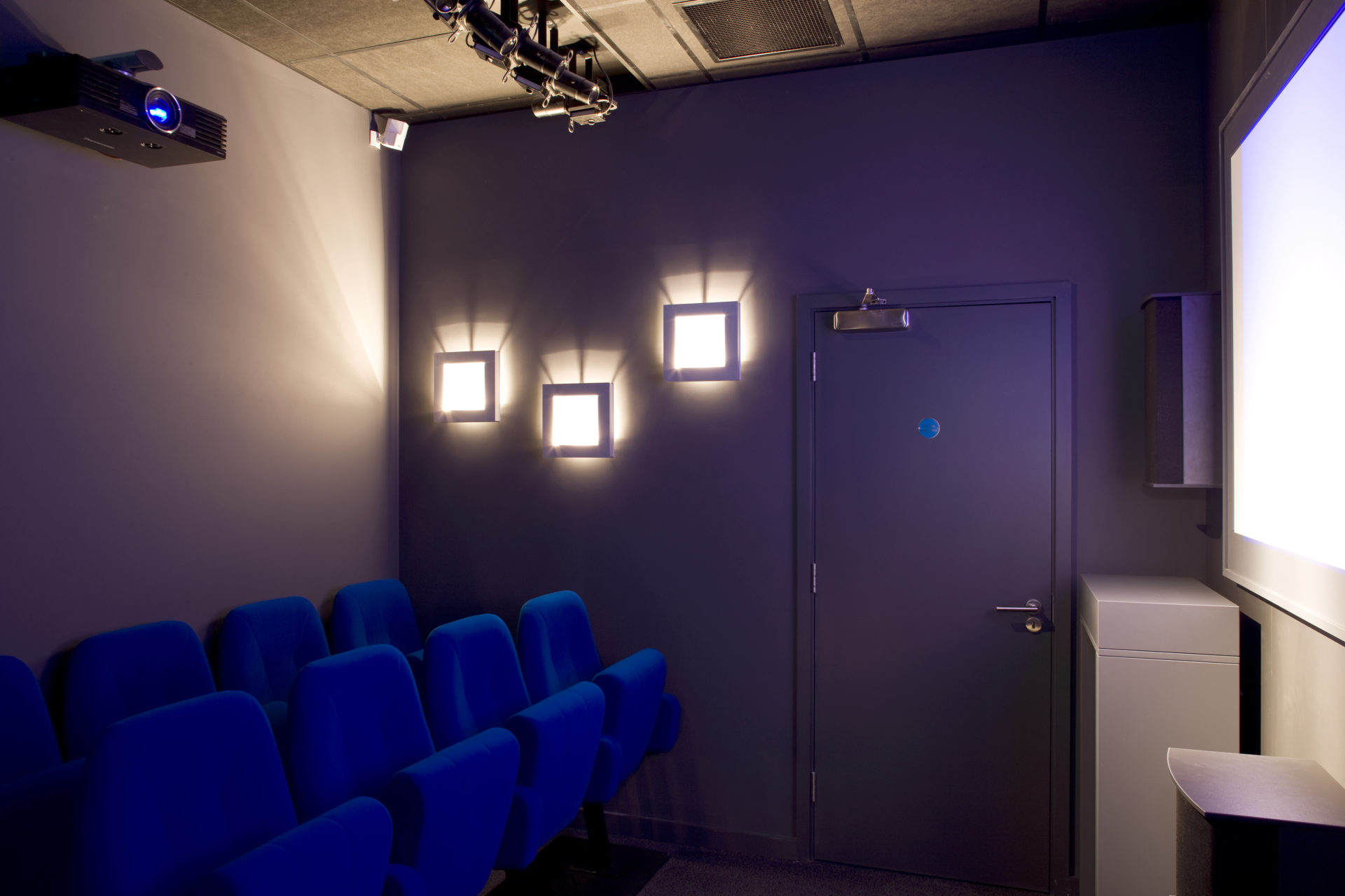 Bose Cinema Room